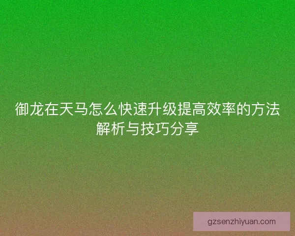 御龙在天马怎么快速升级提高效率的方法解析与技巧分享