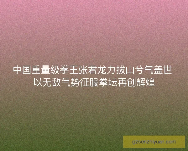 中国重量级拳王张君龙力拔山兮气盖世 以无敌气势征服拳坛再创辉煌