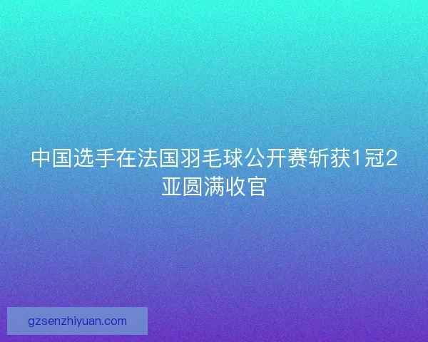 中国选手在法国羽毛球公开赛斩获1冠2亚圆满收官