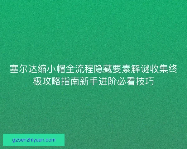 塞尔达缩小帽全流程隐藏要素解谜收集终极攻略指南新手进阶必看技巧