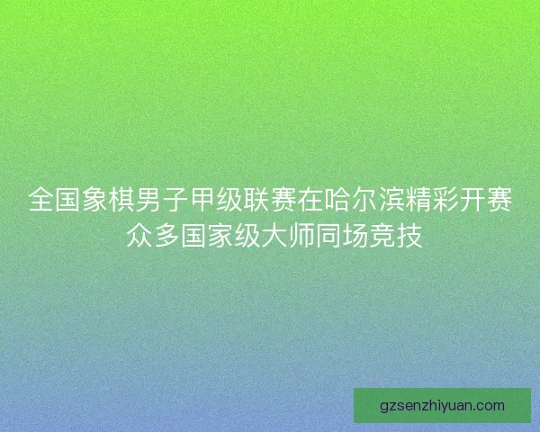 全国象棋男子甲级联赛在哈尔滨精彩开赛 众多国家级大师同场竞技